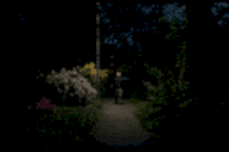 Oasis - by&nbsp;Jannis Lenz